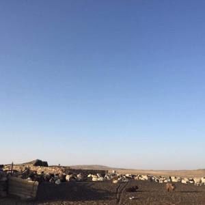 Meet your Posher, Sunjidmaa